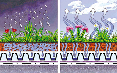 Rainfall and evaporation on a green roof